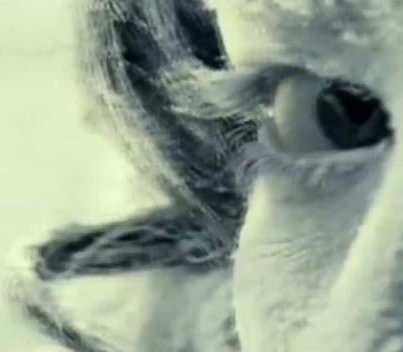 ladytron destroy everything you