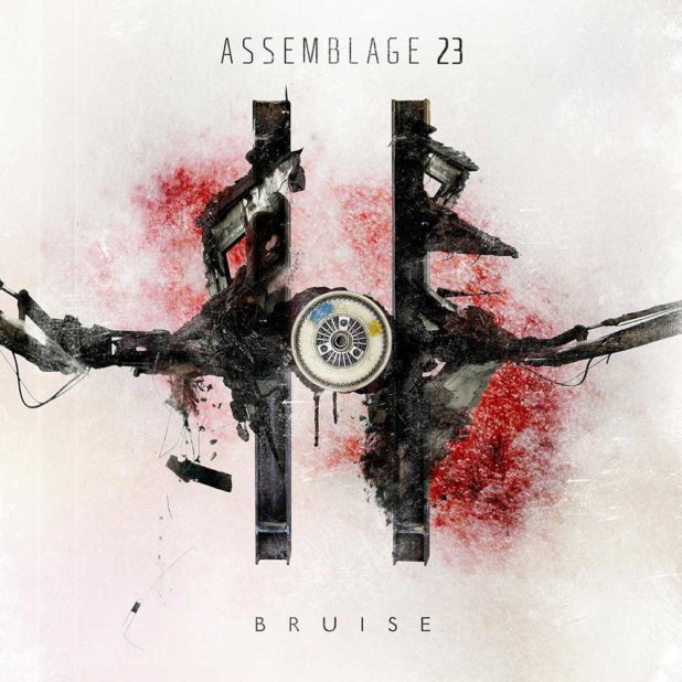 assemblage 23 bruise