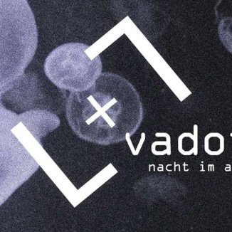 vadot nacht im august