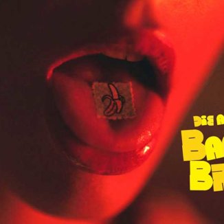 Die Antwoord Banana Brain
