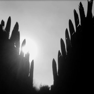 Project Pitchfork Titanes
