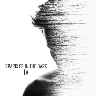 Various Artists Sparkles In The Dark Vol4