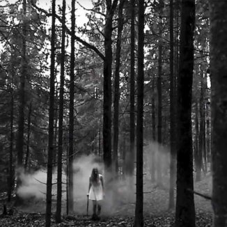 Black Forest - Greed