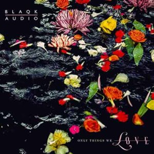 Blaqk Audio - Only Things We Love - Upcoming album