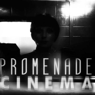 Promenade Cinema - Polaroid Stranger