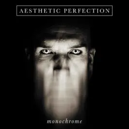 Aesthetic Perfection - Monochrome