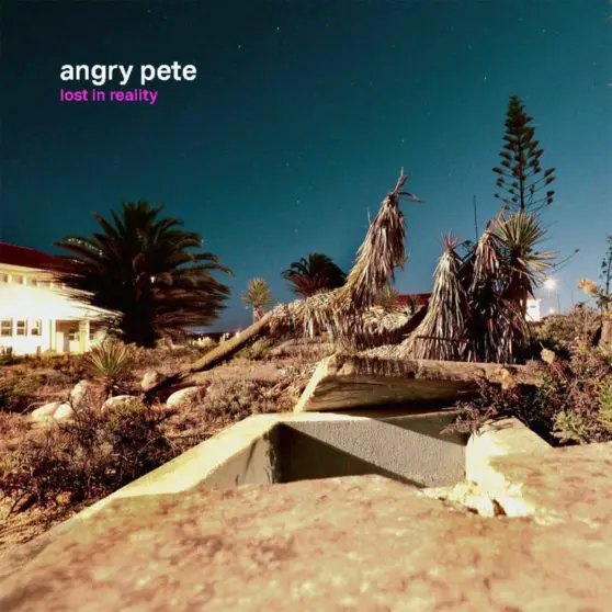 Angry Pete - Lost In Reality