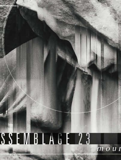 Assemblage 23 - Mourn