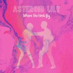 Asteroid Lily - Where The Birds Fly (Cover artwork)