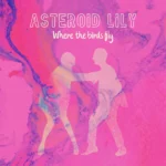 Asteroid Lily - Where The Birds Fly (Cover artwork)