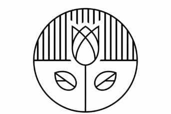 Black Rose Moves - Ghost Town