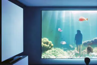 Breathes With Gills - Screens