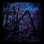 CATBEAR - Darkness