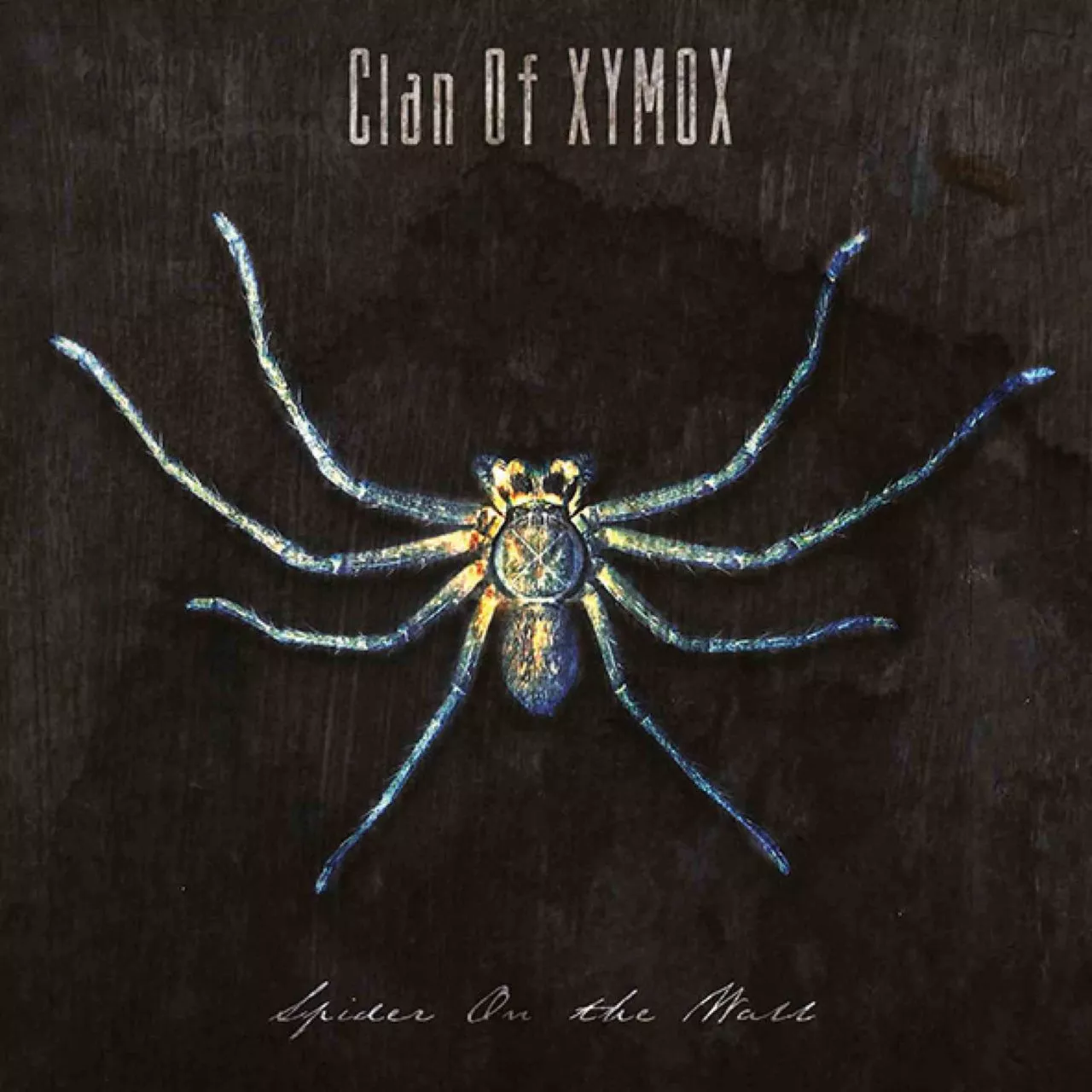 Clan Of Xymox - Spider On The Wall