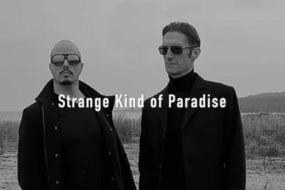 Cold Connection - Strange Kind Of Paradise