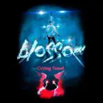 Crying Vessel - Blossom (Cover artwork)