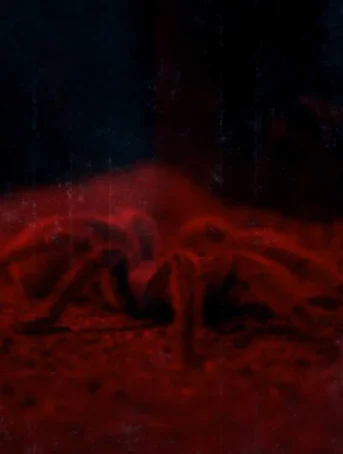 Dekad - Welcome To My Nightmare
