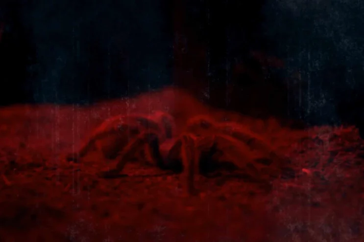 Dekad - Welcome To My Nightmare