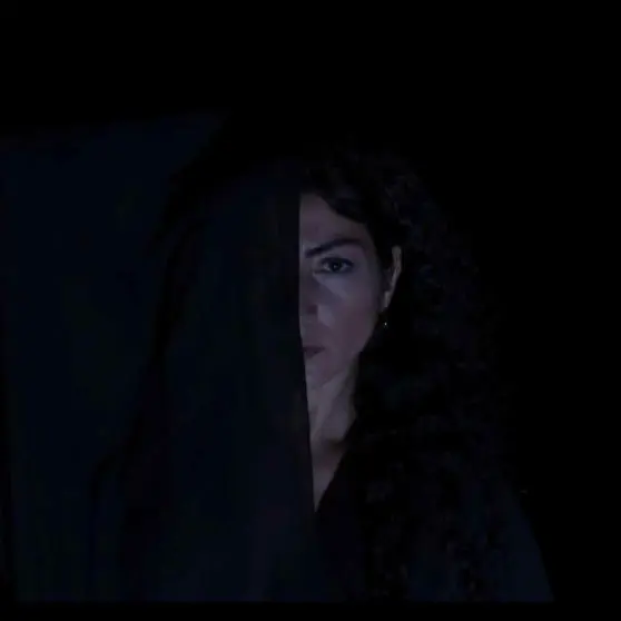Diar Storm - Something To Hide