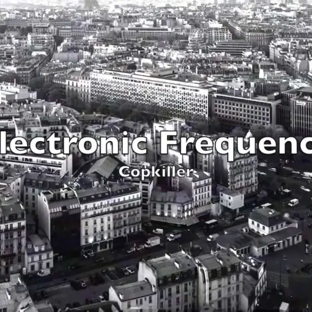 Electronic Frequency - Copkiller