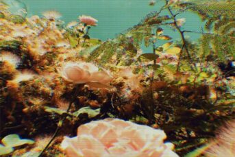 EM_LEN - Circumstance of Love