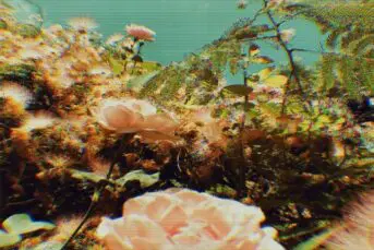 EM_LEN - Circumstance of Love