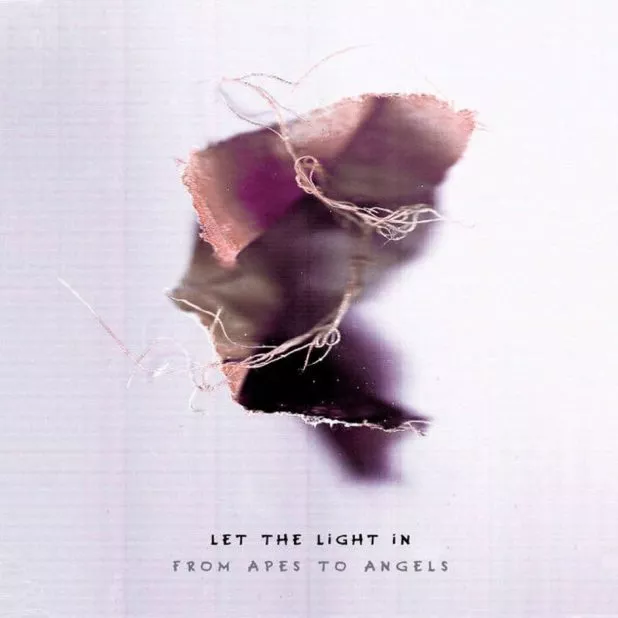 From Apes To Angels - Let The Light In