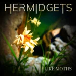 Hermidgets - Like Moths