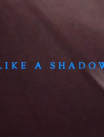 Missing Words - Like A Shadow