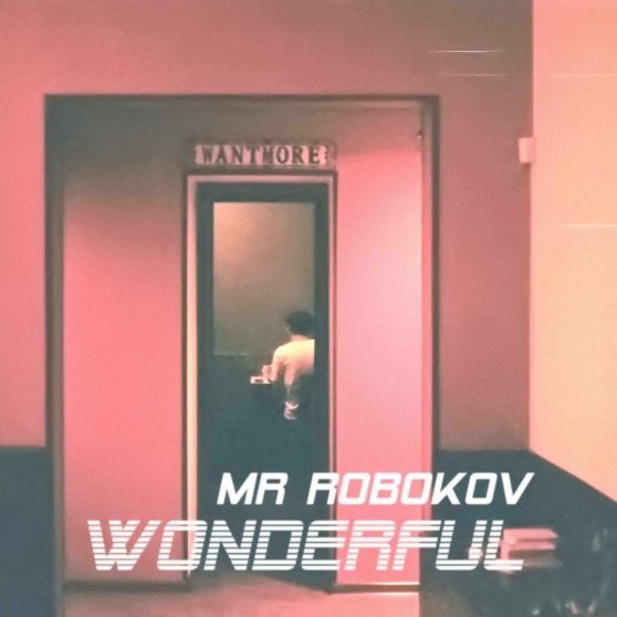 Mr Robokov - Wonderful
