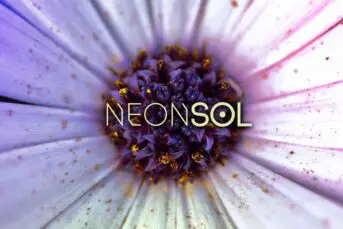 Neonsol - Full Disclosure