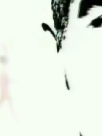 Pet Shop Boys - Where The Streets Have No Name (I Can't Take My Eyes Off You)