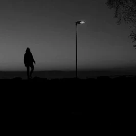 Propter Hoc - Lonesome Vampire