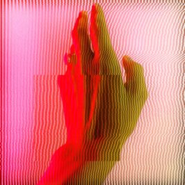 Radical Bicep x Rayne Reznor - Crimson Flowers