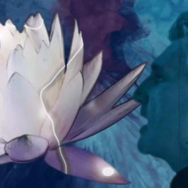 Scheuber - Lotus