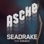 Seadrake - Asche (Feat. Dorian E) (Ascii.Disko Cover)