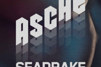 Seadrake - Asche (Feat. Dorian E) (Ascii.Disko Cover)