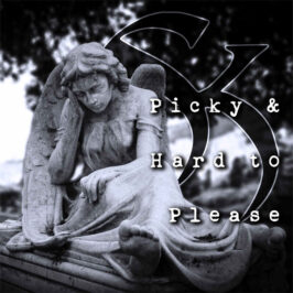 The Skepsis - Picky & Hard to Please