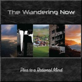 The Wandering Now - Plea To A Rational Mind