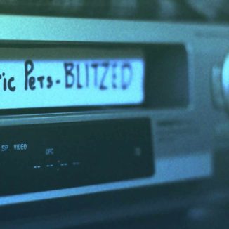 Tiny Magnetic Pets - Blitzed