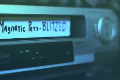 Tiny Magnetic Pets - Blitzed