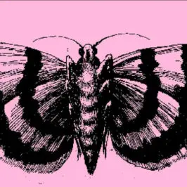 Tying Tiffany - Into The Light (Siouxsie And The Banshees Cover)