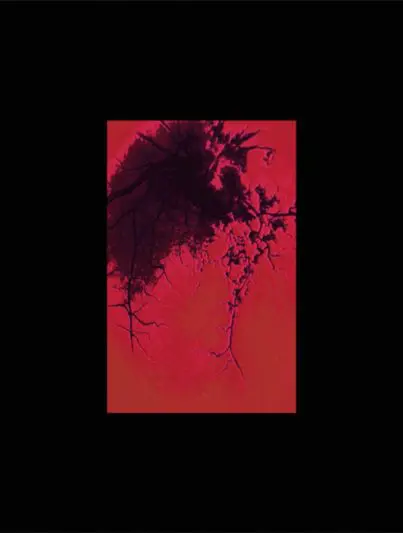 Uèle Lamore - Warm Blood (feat. Silly Boy Blue)