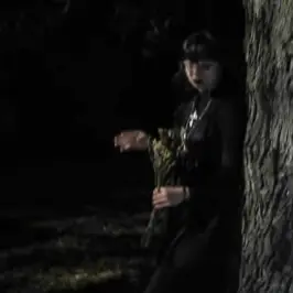 Vera Gloom - Hollow Mind