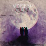 Vioflesh - Call Me