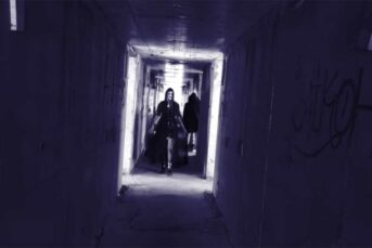 Vioflesh - I Miss Us