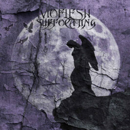 Vioflesh - Suffocating