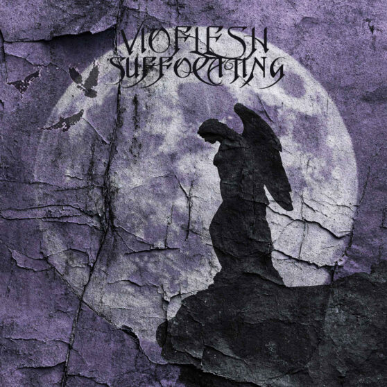 Vioflesh - Suffocating