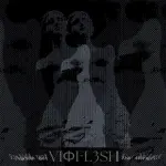 Vioflesh - Your Absence