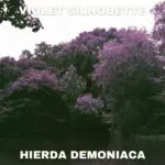 Violet Silhouette - Hierda Demoniaca